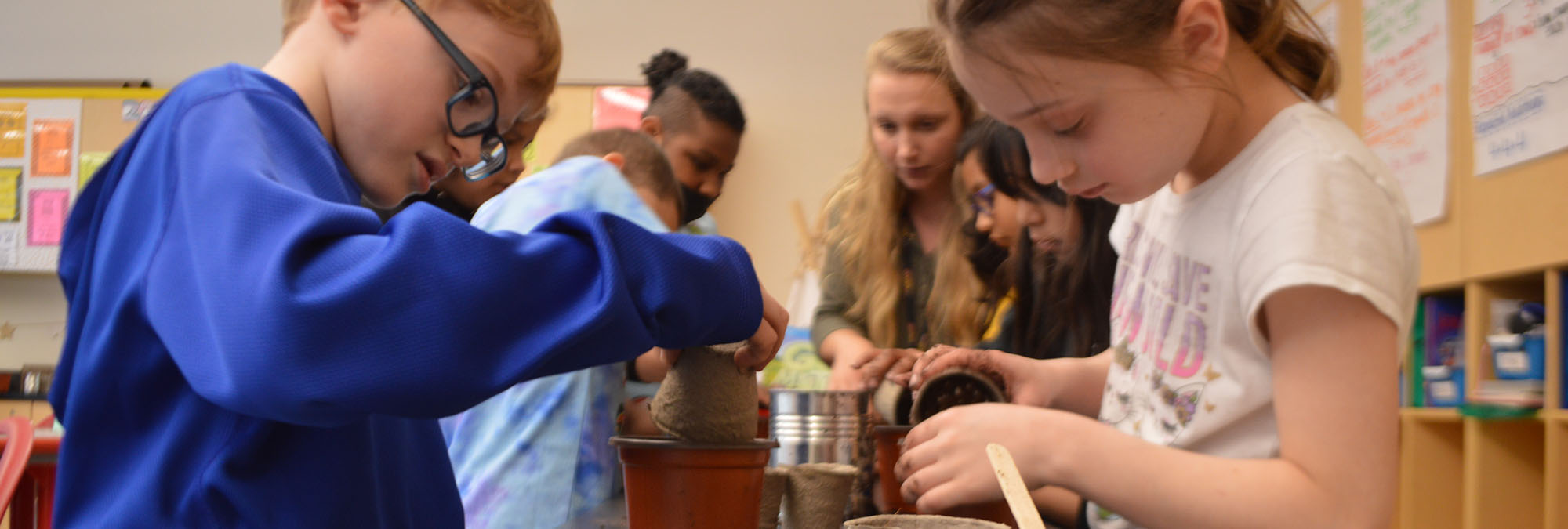 Students plant seeds in pots of dirt in classroom